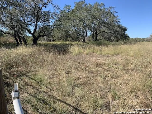 203 CR 789 Natalia, TX 78059