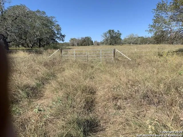 203 CR 789 Natalia, TX 78059