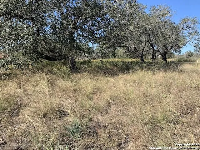 203 CR 789 Natalia, TX 78059