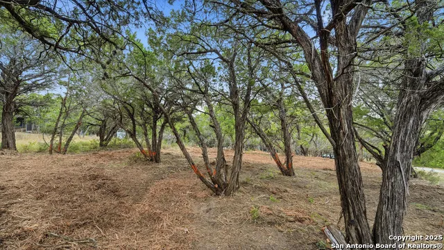 799 Hillside Canyon Lake, TX 78133