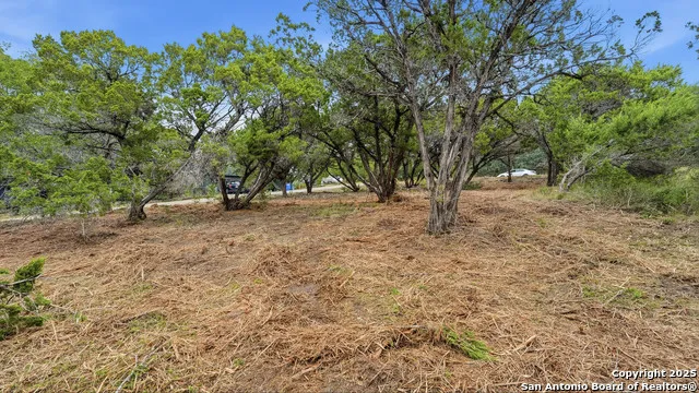 799 Hillside Canyon Lake, TX 78133