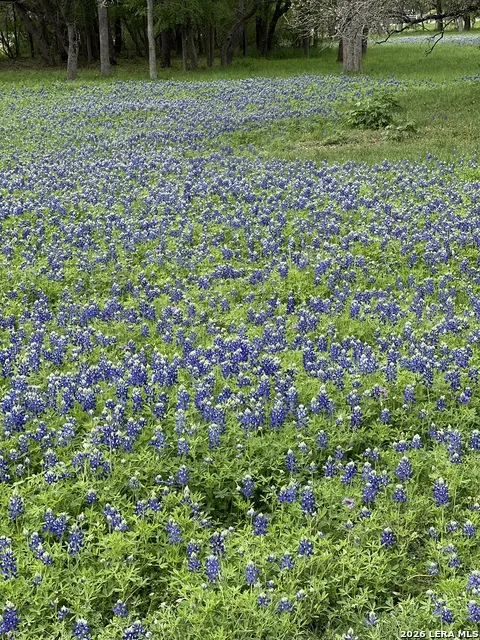 11200 Fm 306 New Braunfels, TX 78132