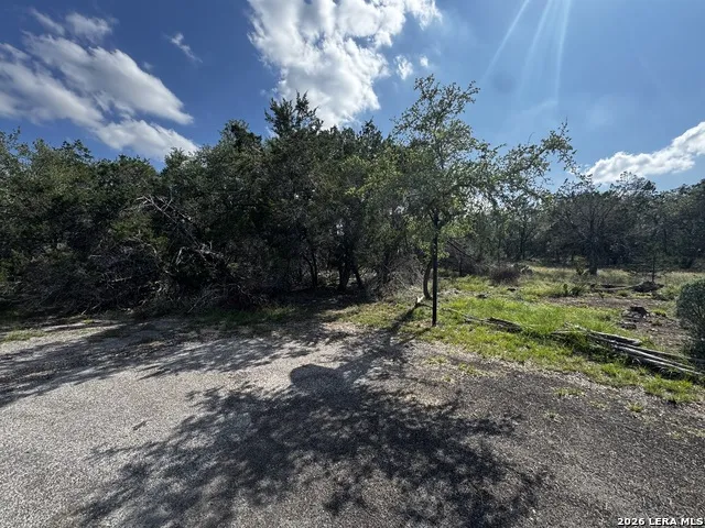 351 Barton Meadow Dr Dripping Springs, TX 78620