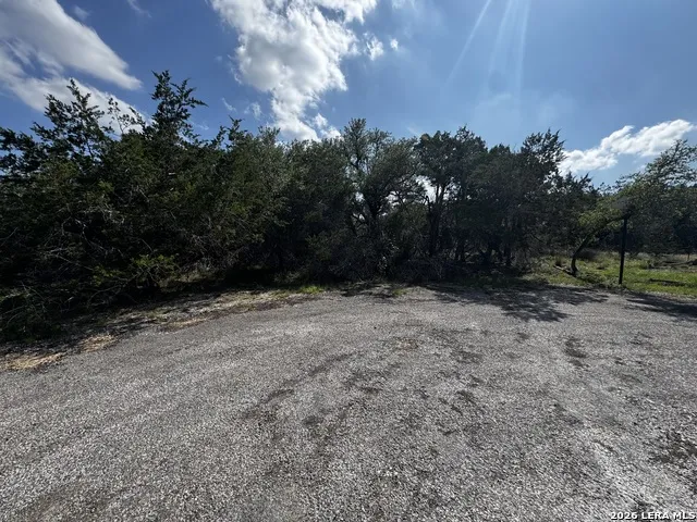 351 Barton Meadow Dr Dripping Springs, TX 78620