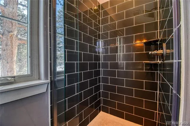 237 Ridge Rd Twin Lakes, CO 81251