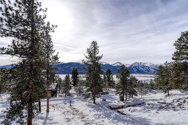 237 Ridge Rd Twin Lakes, CO 81251