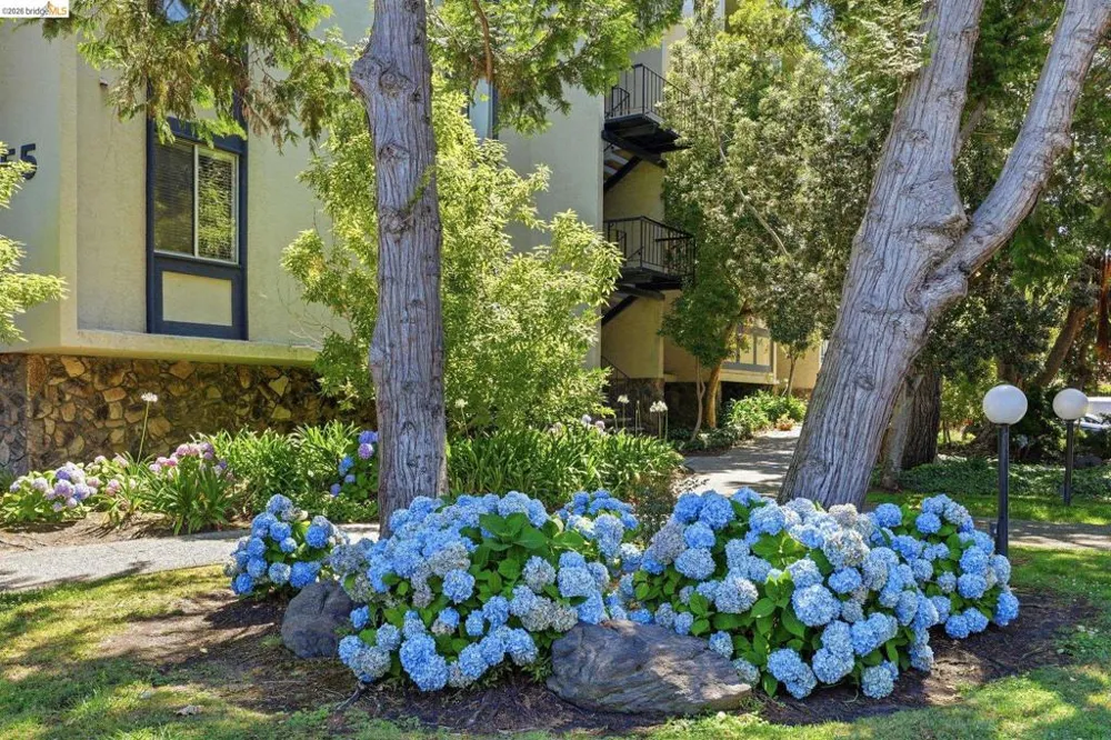 955 Shorepoint Court #208 Alameda, CA 94501
