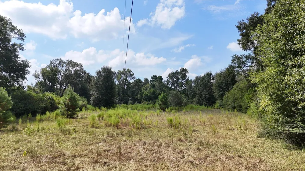 Afton Lane Livingston, TX 77351