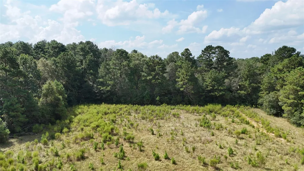 Afton Lane Livingston, TX 77351