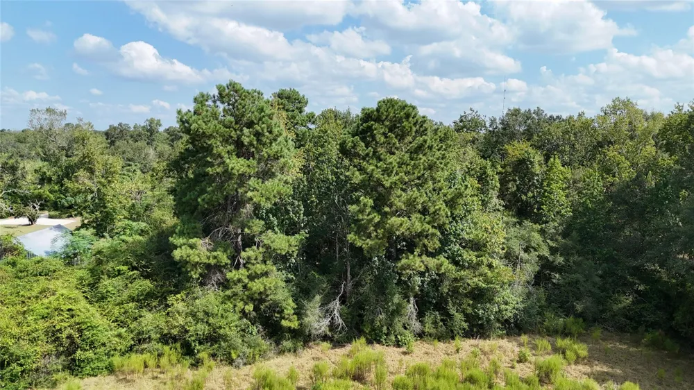 Afton Lane Livingston, TX 77351