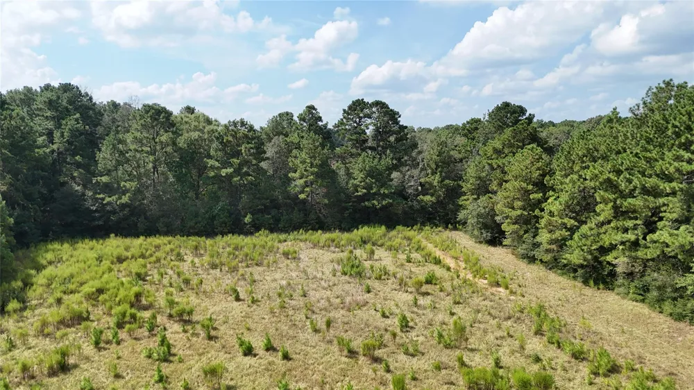 Afton Lane Livingston, TX 77351