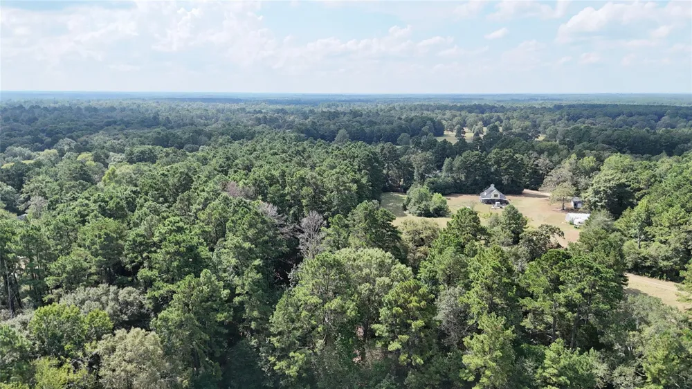 Afton Lane Livingston, TX 77351