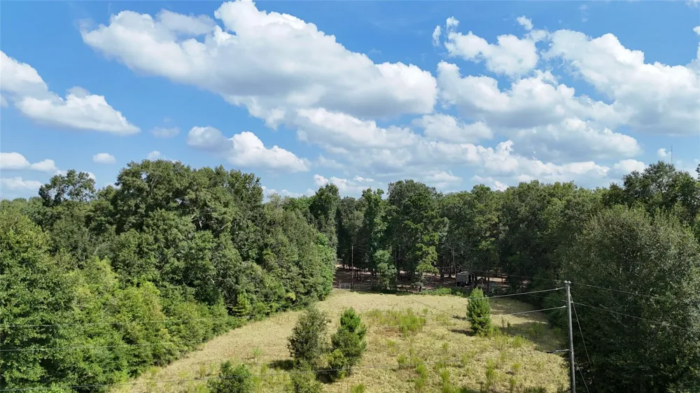 Afton Lane Livingston, TX 77351