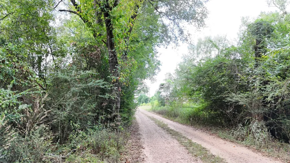 Afton Lane Livingston, TX 77351