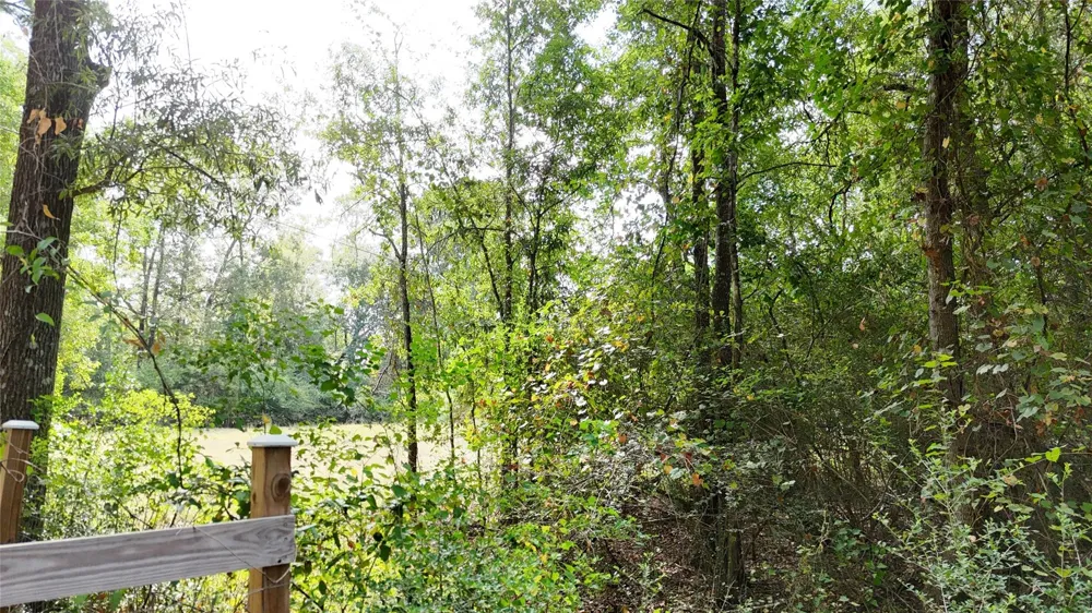 Afton Lane Livingston, TX 77351