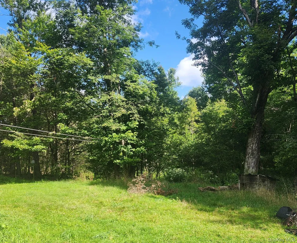 375 Aden Hill Road Parksville, NY 12768