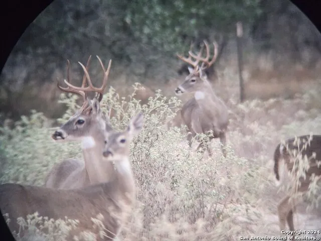 445 Private Road 7822 Natalia, TX 78059