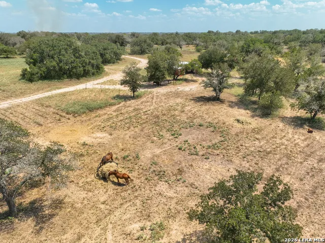 445 Private Road 7822 Natalia, TX 78059