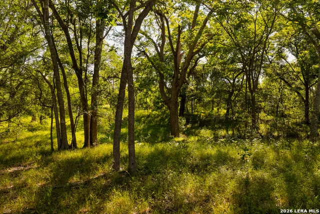 279 FERMIN LN Seguin, TX 78155