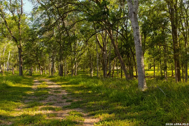 279 FERMIN LN Seguin, TX 78155
