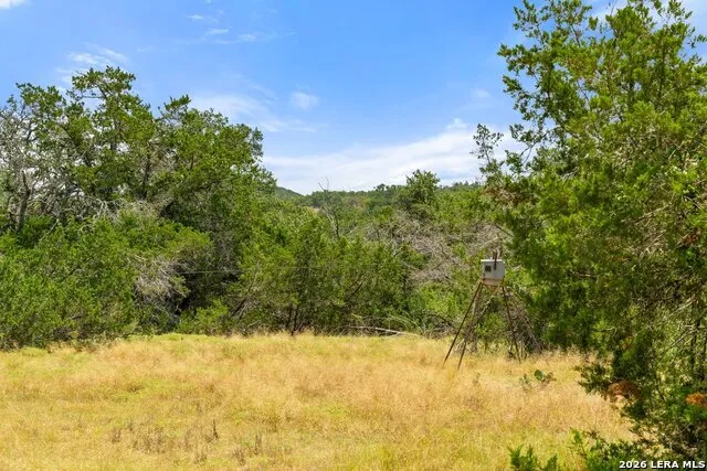 1984 N Grape Creek Road Fredericksburg, TX 78624