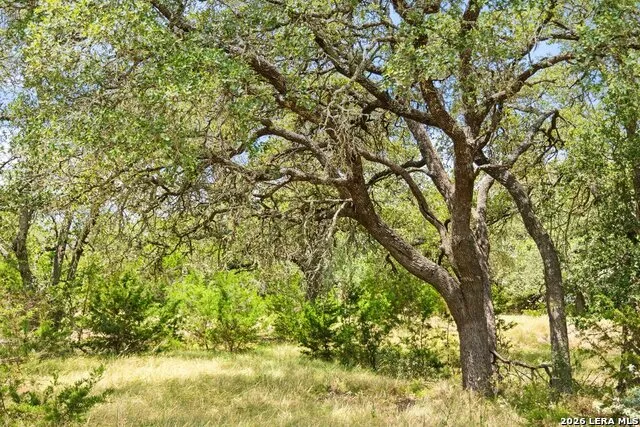 1984 N Grape Creek Road Fredericksburg, TX 78624