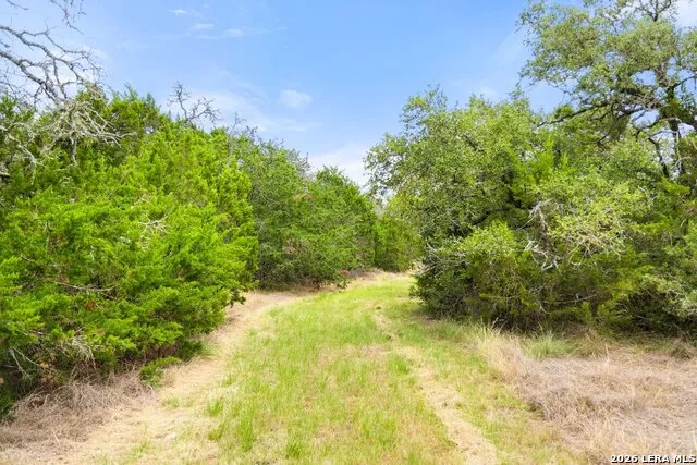 1984 N Grape Creek Road Fredericksburg, TX 78624