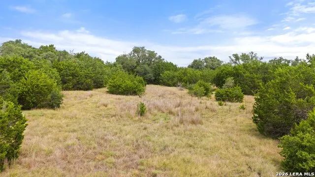 1984 N Grape Creek Road Fredericksburg, TX 78624