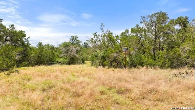 1984 N Grape Creek Road Fredericksburg, TX 78624