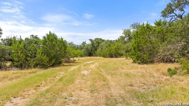 1984 N Grape Creek Road Fredericksburg, TX 78624