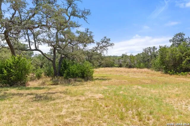 1984 N Grape Creek Road Fredericksburg, TX 78624
