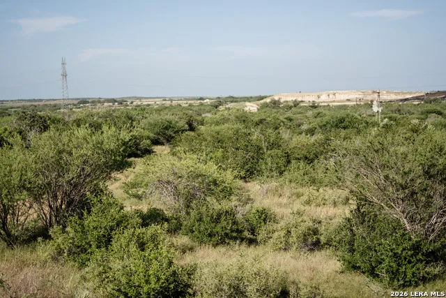 1353 COUNTY ROAD 153 Kenedy, TX 78119