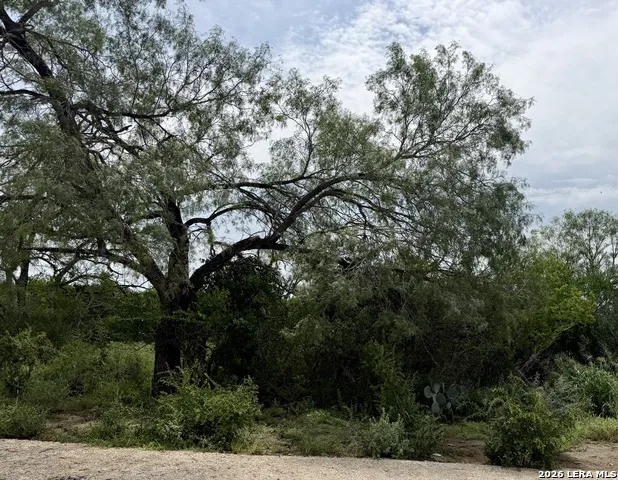 2018 STRAWBERRY CITY RD Poteet, TX 78065