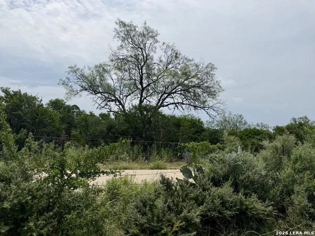 2018 STRAWBERRY CITY RD Poteet, TX 78065