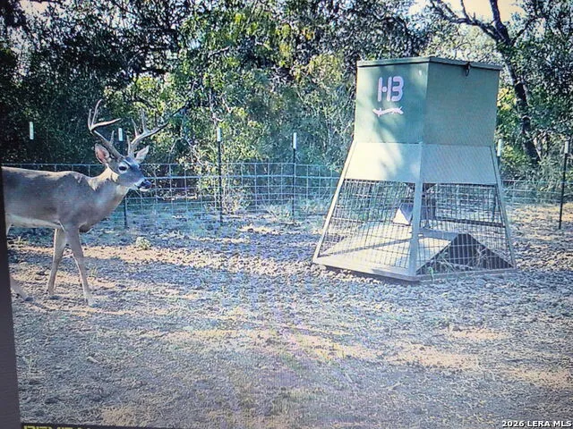 144 Pr 324 Dhanis, TX 78850