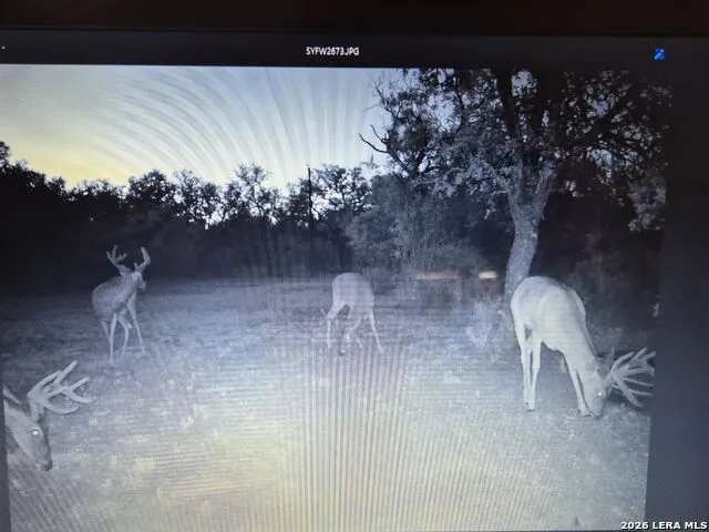 144 Pr 324 Dhanis, TX 78850