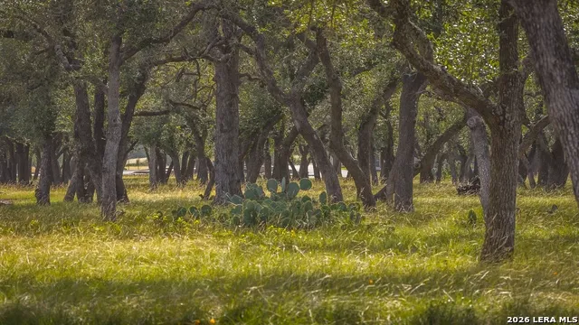 140 SATTLER RD Spring Branch, TX 78070
