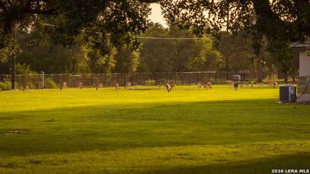 140 SATTLER RD Spring Branch, TX 78070
