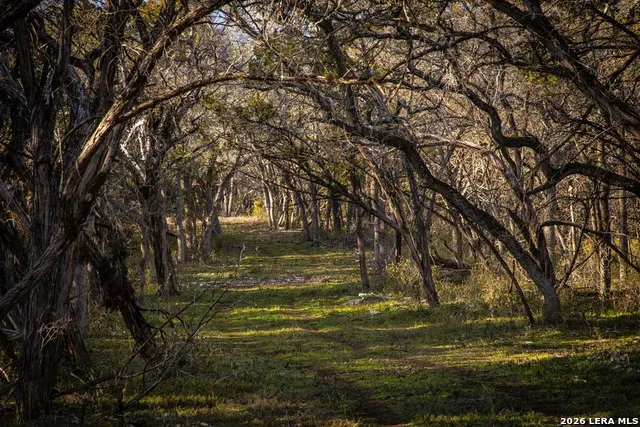 000 Hueco Springs Loop Road New Braunfels, TX 78132