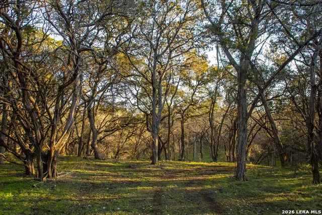 000 Hueco Springs Loop Road New Braunfels, TX 78132