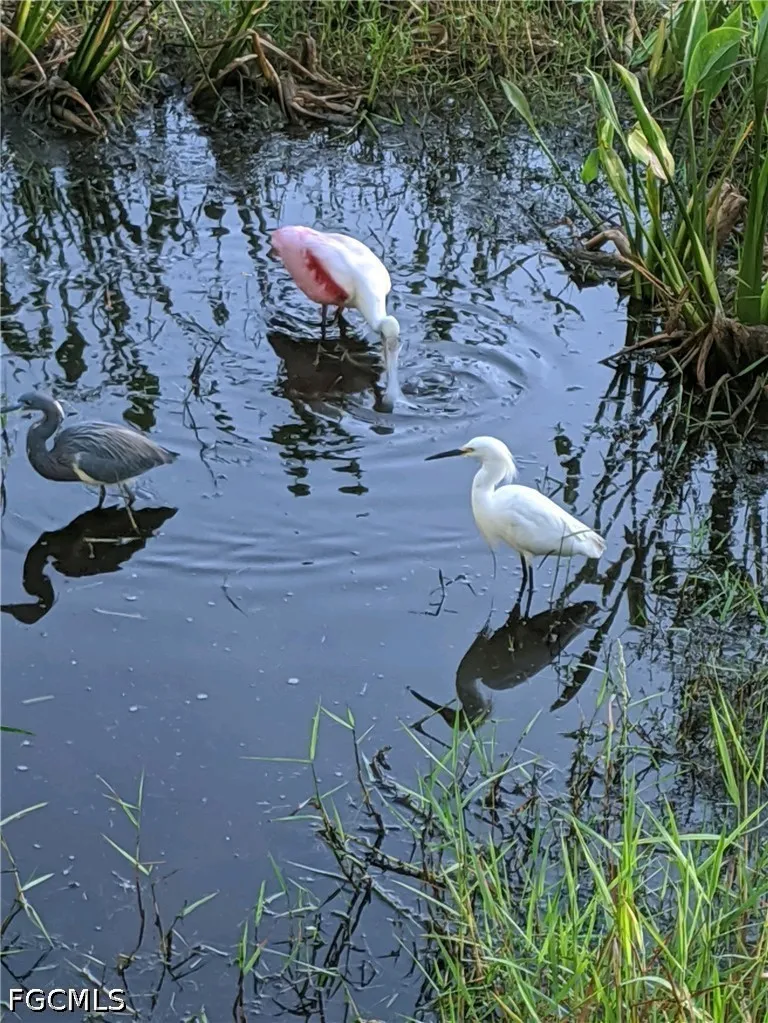 Colonial Country Club Boulevard #305 Fort Myers, FL 33913