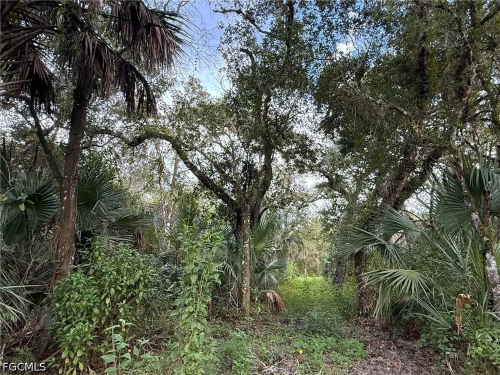 L28 CANAL ROAD Immokalee, FL 34142