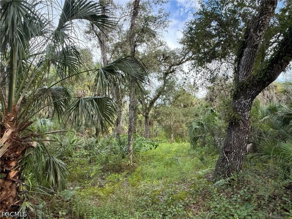 L28 CANAL ROAD Immokalee, FL 34142