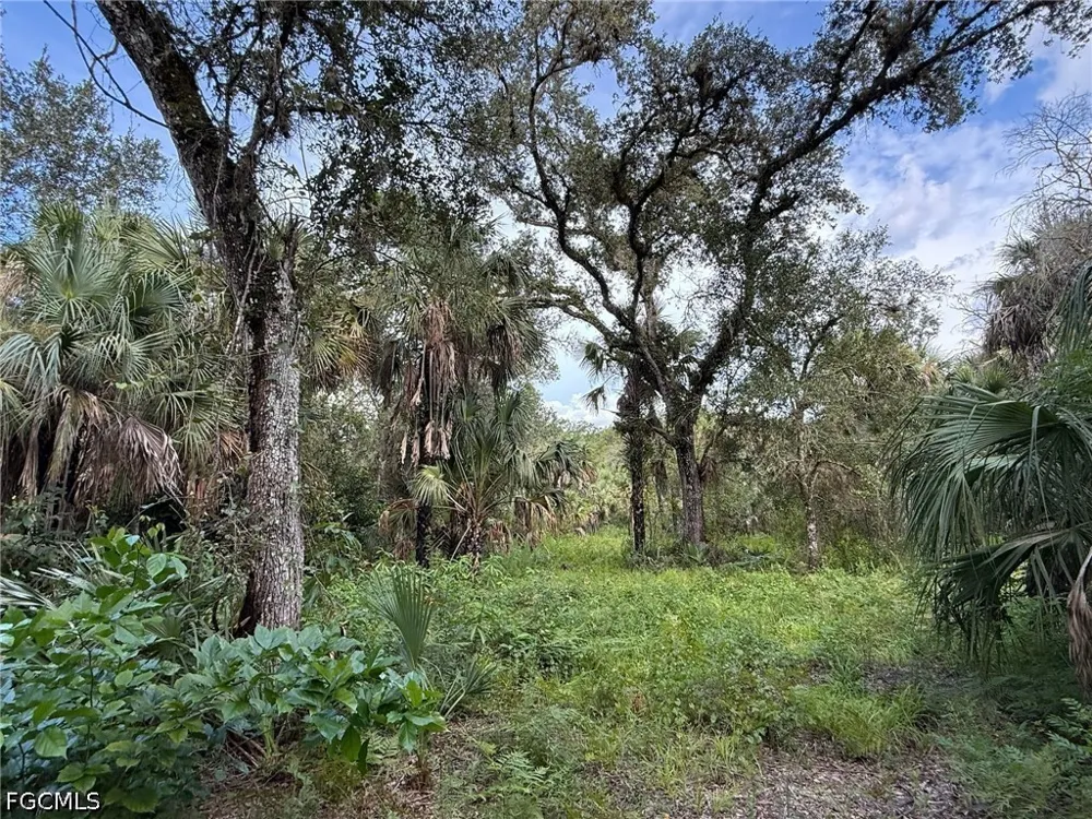 L28 CANAL ROAD Immokalee, FL 34142