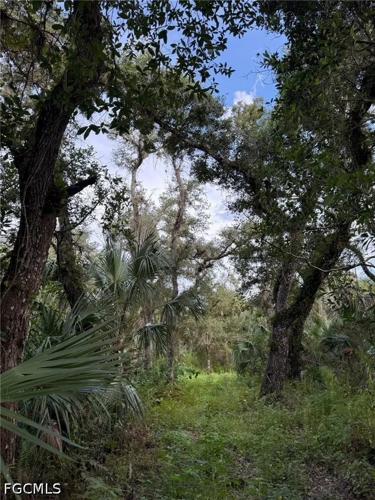 L28 CANAL ROAD Immokalee, FL 34142