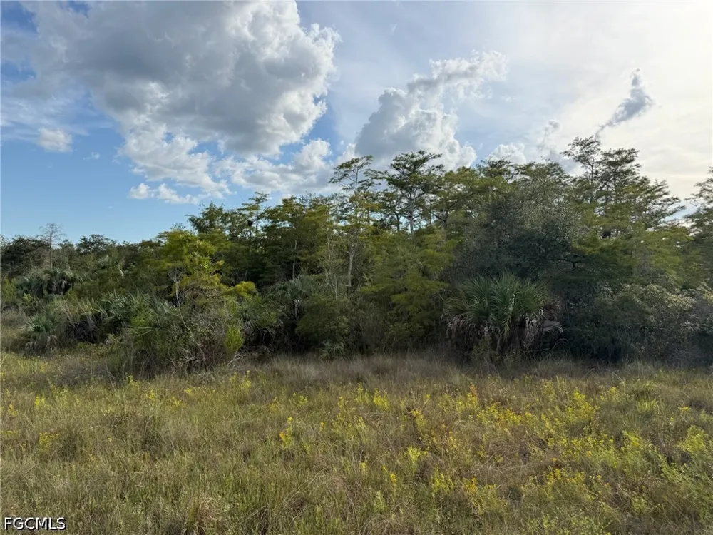 L28 CANAL ROAD Immokalee, FL 34142
