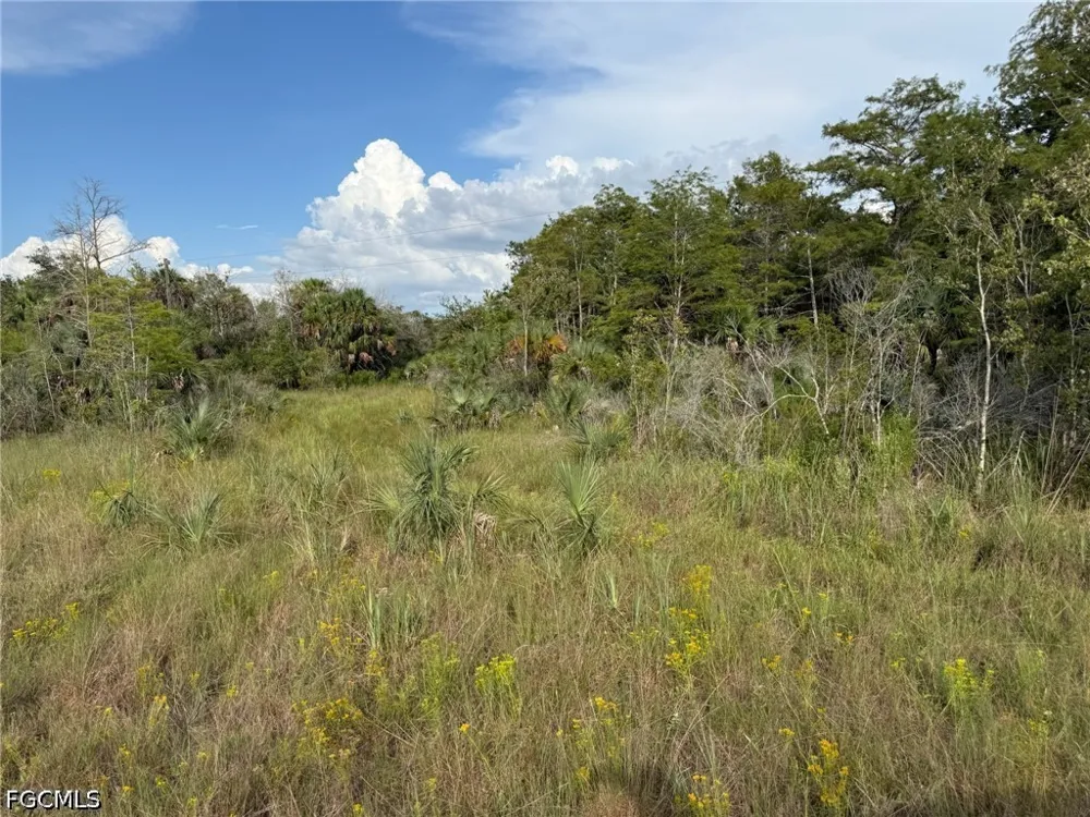 L28 CANAL ROAD Immokalee, FL 34142