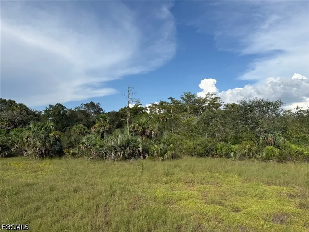 L28 CANAL ROAD Immokalee, FL 34142