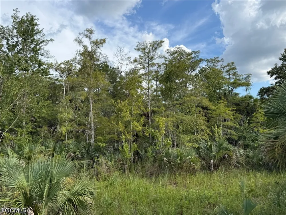 L28 CANAL ROAD Immokalee, FL 34142