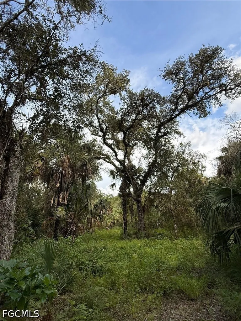 L28 CANAL ROAD Immokalee, FL 34142